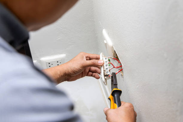 Best Local Electrician Companies  in Briar Chapel, NC